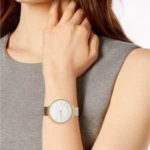Skagen gold time stainless steel mesh watch